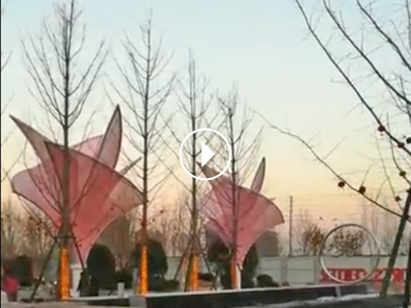 晨旭景觀膜結構安裝現場案例